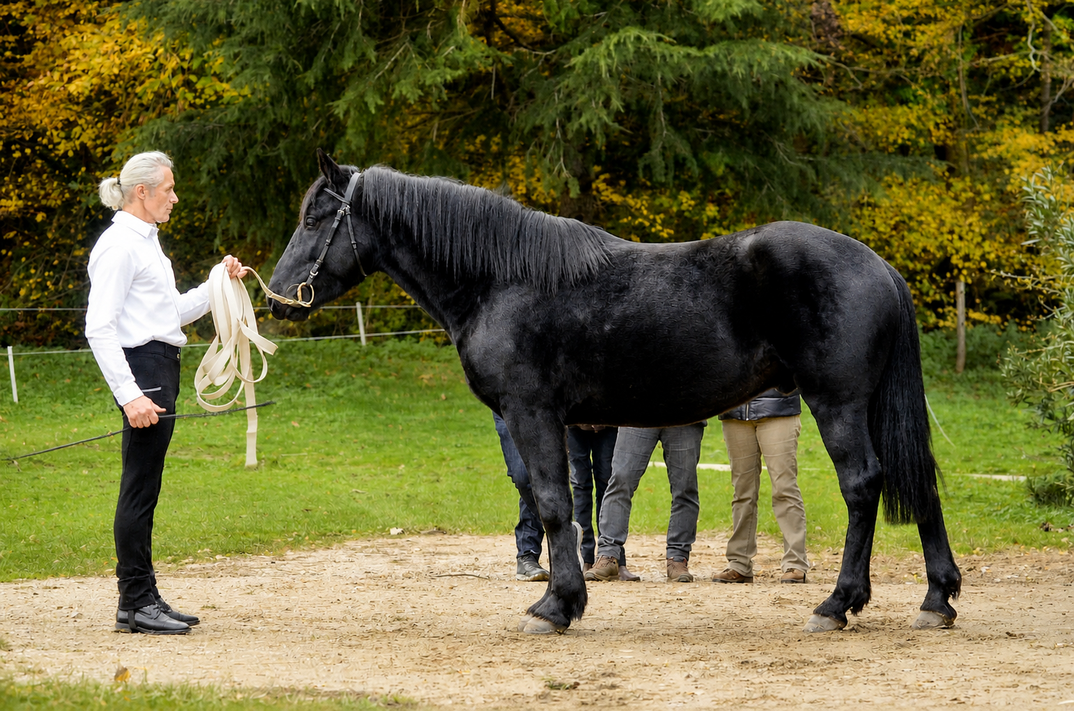 Élever autrement, au rythme des chevaux