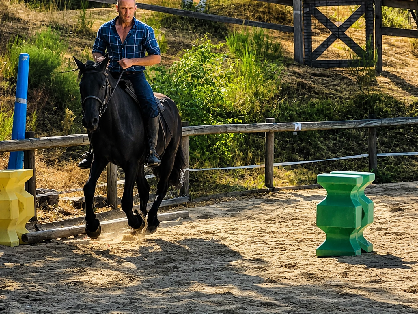 Notre élevage de chevaux de Mérens